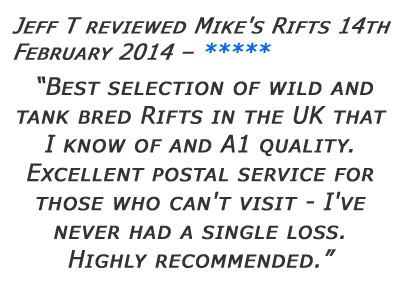 Mikes Rifts Review 23